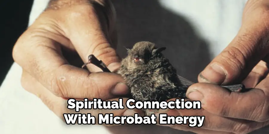 Spiritual Connection
With Microbat Energy