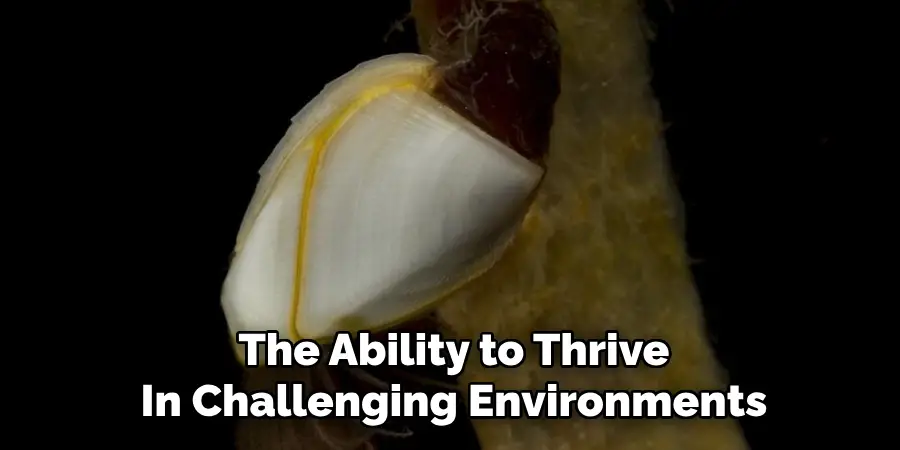 The Ability to Thrive
In Challenging Environments