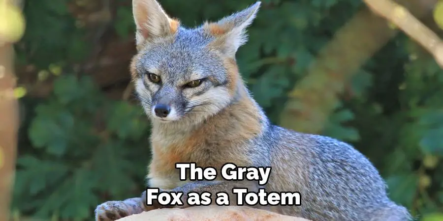 The Gray Fox as a Totem