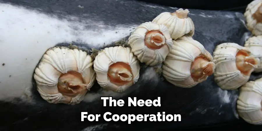 The Need
For Cooperation