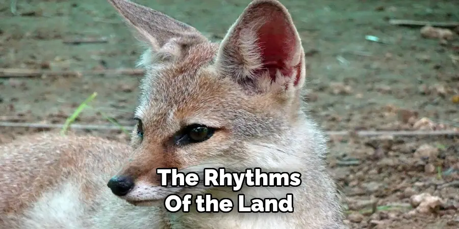 The Rhythms
Of the Land