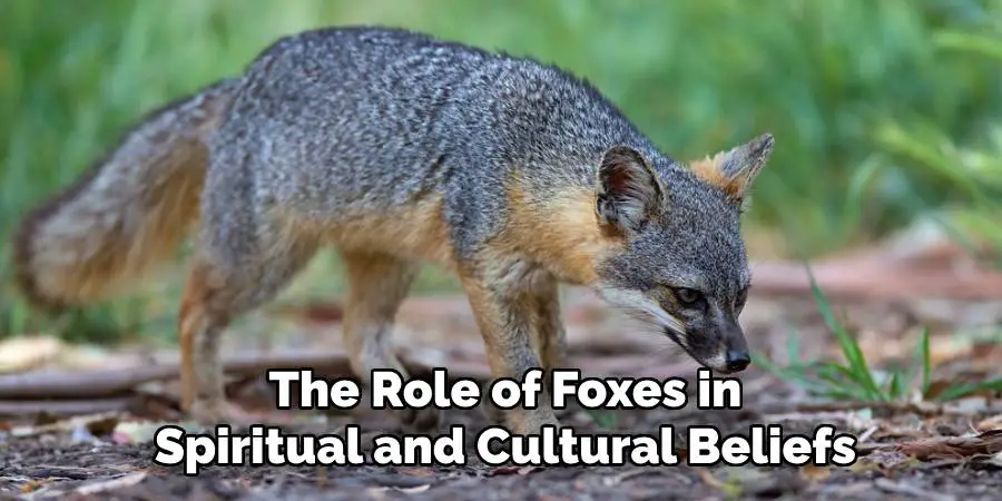 The Role of Foxes in Spiritual and Cultural Beliefs