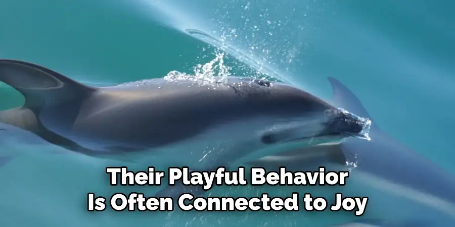 Their Playful Behavior
Is Often Connected to Joy