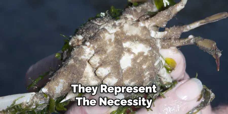 They Represent
The Necessity
