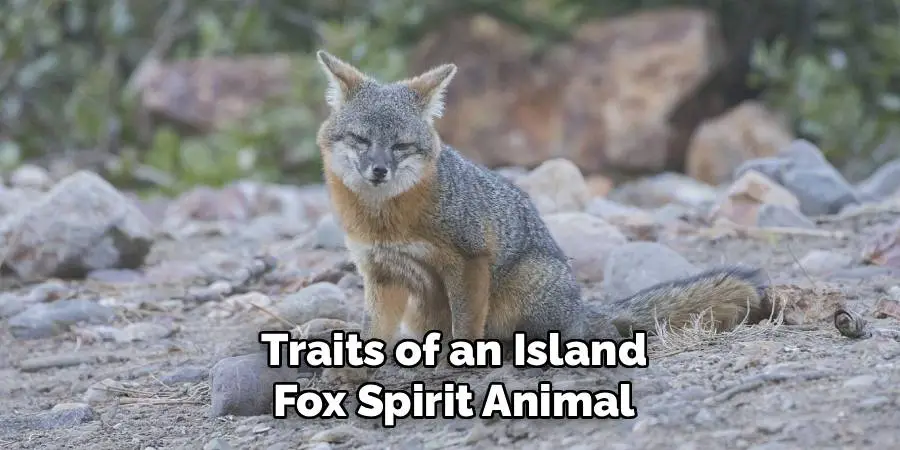 Traits of an Island Fox Spirit Animal