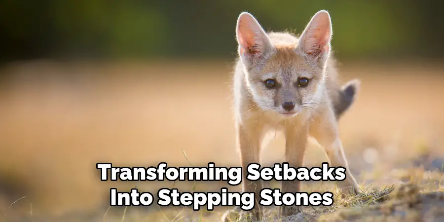 Transforming Setbacks
Into Stepping Stones