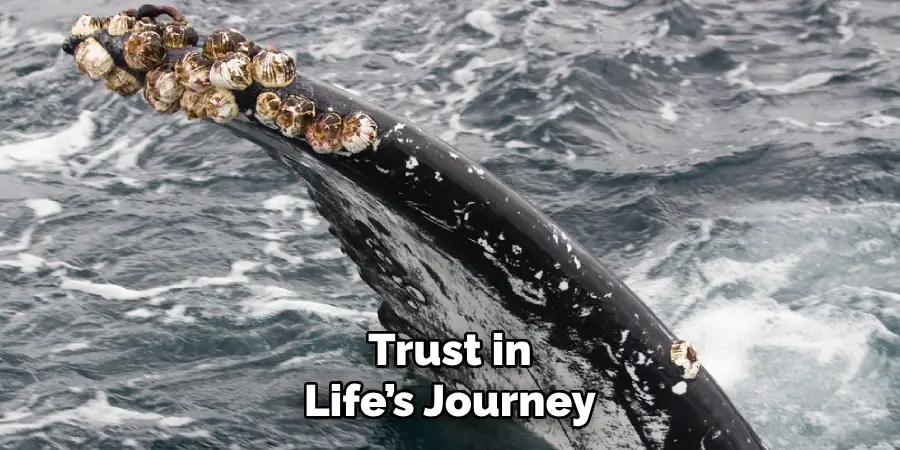 Trust in
Life’s Journey