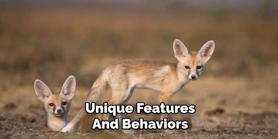 Unique Features and Behaviors