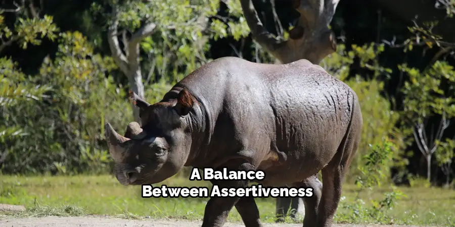 A Balance
Between Assertiveness