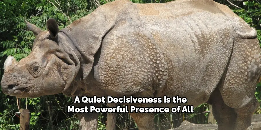 A Quiet Decisiveness is the
Most Powerful Presence of All