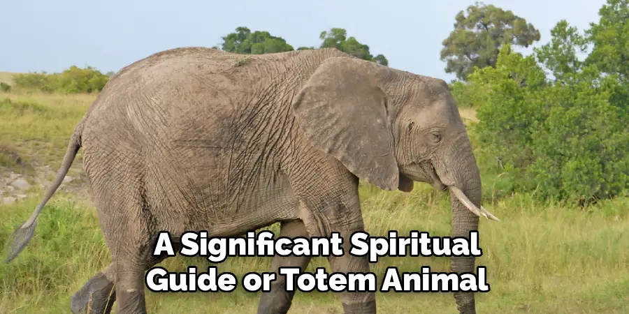 A Significant Spiritual
Guide or Totem Animal