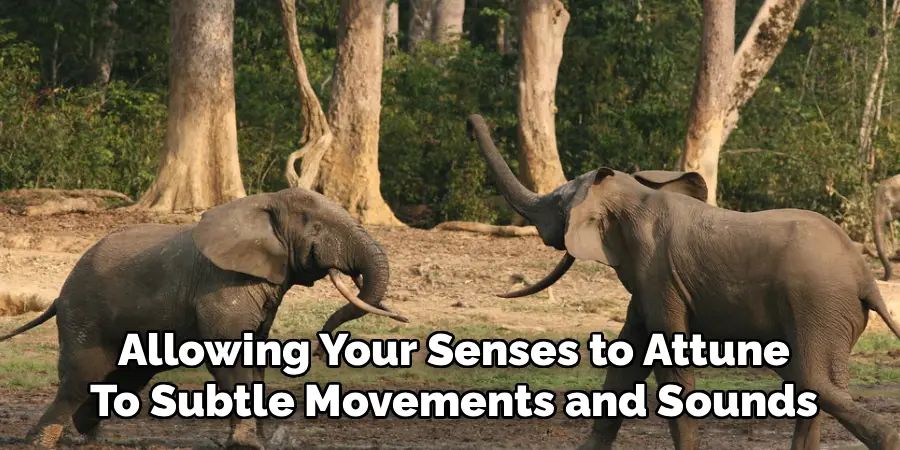 Allowing Your Senses to Attune
To Subtle Movements and Sounds