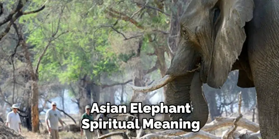 Asian Elephant Spiritual Meaning