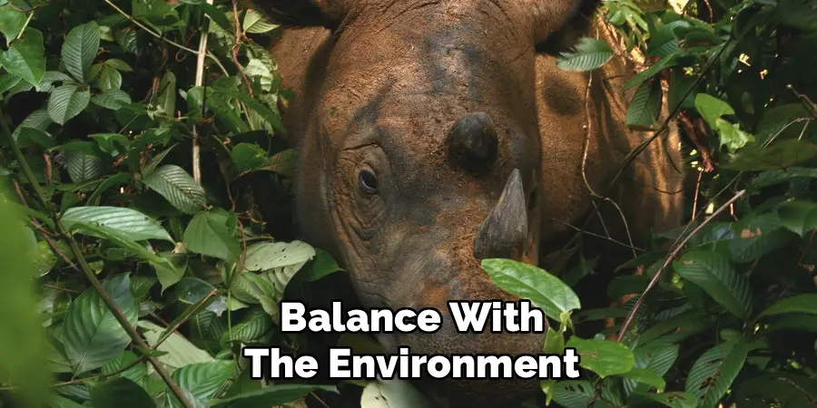 Balance With
The Environment