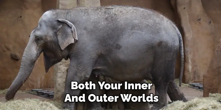 Both Your Inner
And Outer Worlds