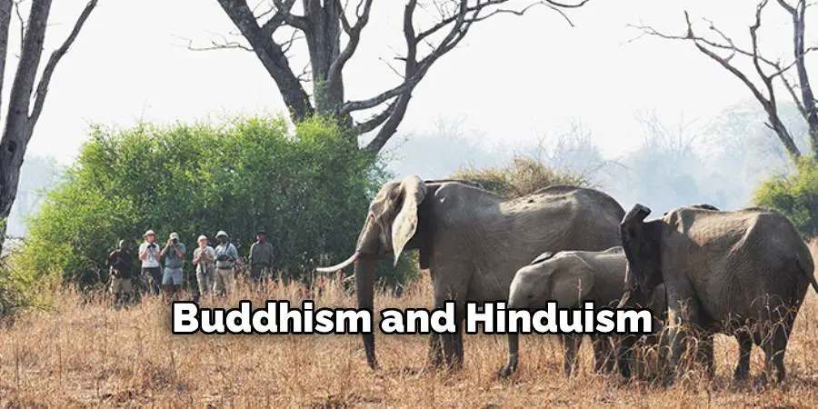 Buddhism and Hinduism