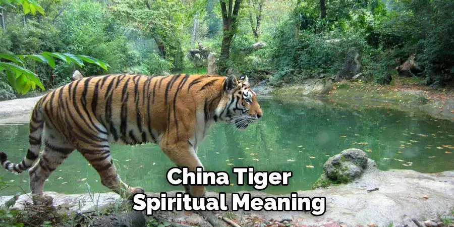 China Tiger Spiritual Meaning
