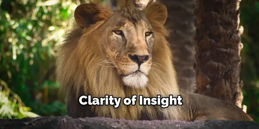 Clarity of Insight