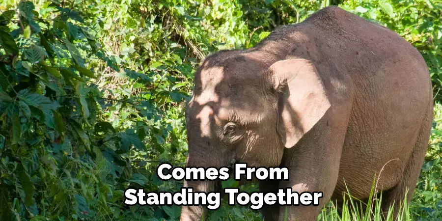 Comes From
Standing Together