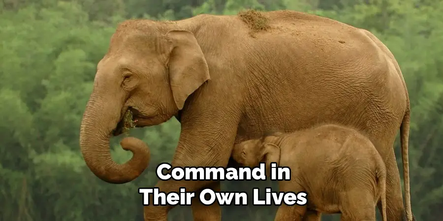 Command in
Their Own Lives