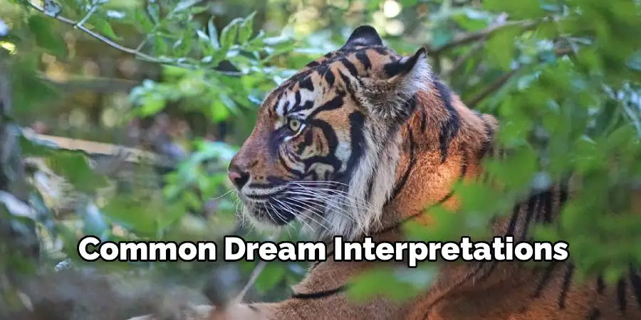Common Dream Interpretations