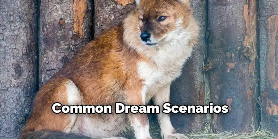 Common Dream Scenarios