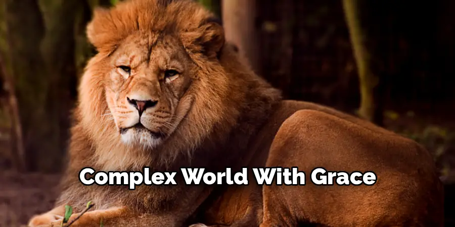 Complex World With Grace
