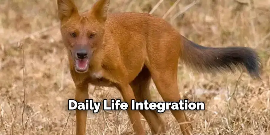 Daily Life Integration