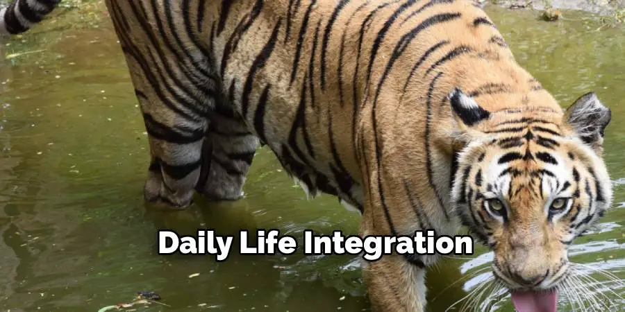 Daily Life Integration