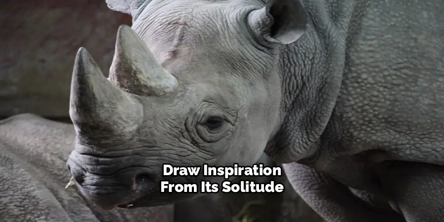 Draw Inspiration
From Its Solitude