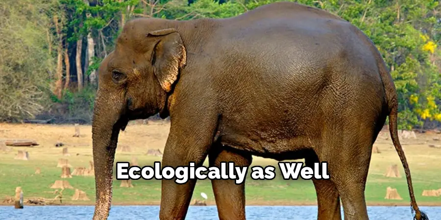 Ecologically as Well