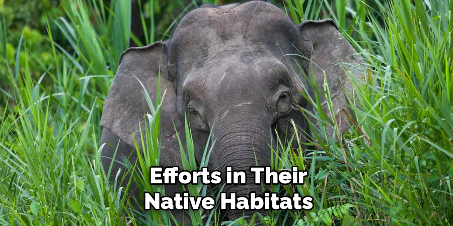 Efforts in Their
Native Habitats