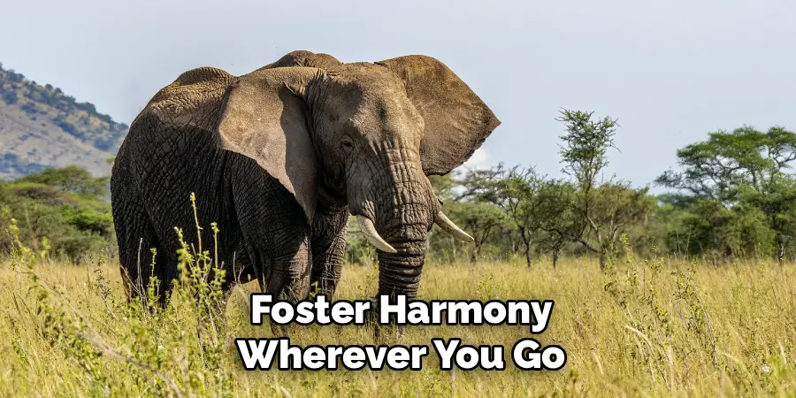 Foster Harmony
Wherever You Go