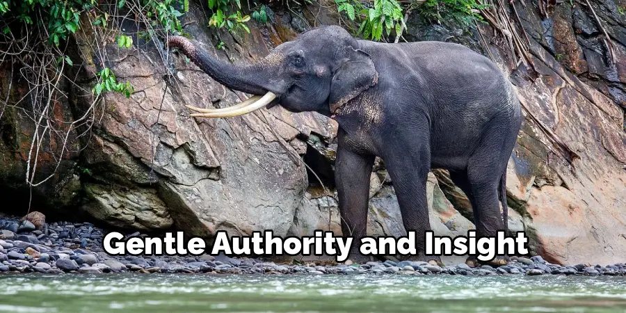 Gentle Authority and Insight
