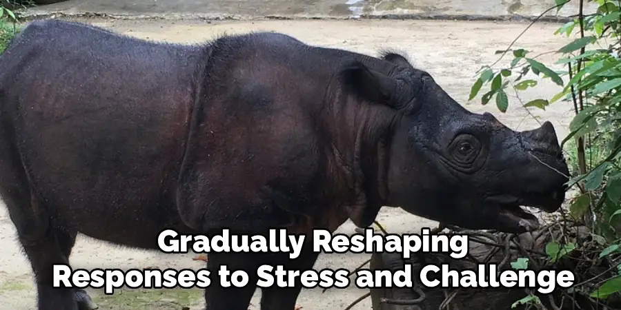 Gradually Reshaping
Responses to Stress and Challenge.
