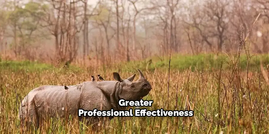 Greater
Professional Effectiveness