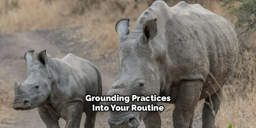 Grounding Practices
Into Your Routine
