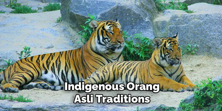 Indigenous Orang Asli Traditions