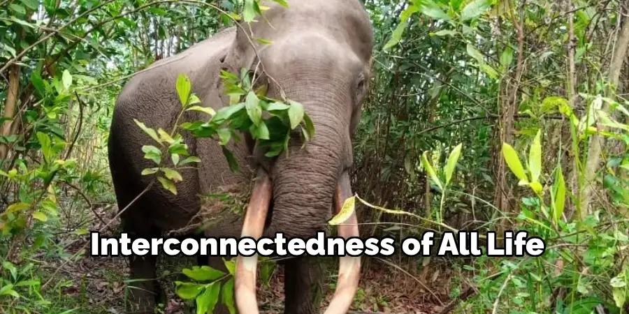 Interconnectedness of All Life