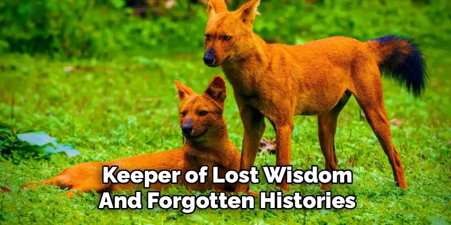 Keeper of Lost Wisdom and Forgotten Histories