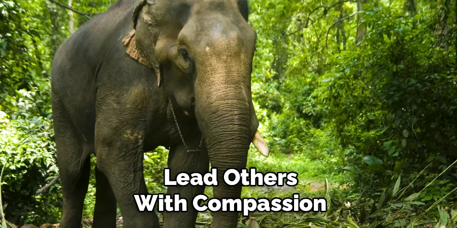 Lead Others
With Compassion