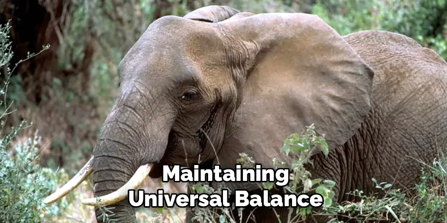 Maintaining
Universal Balance