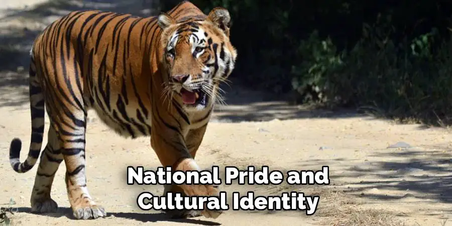 National Pride and Cultural Identity