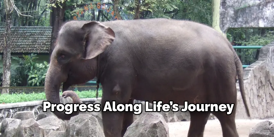 Progress Along Life’s Journey
