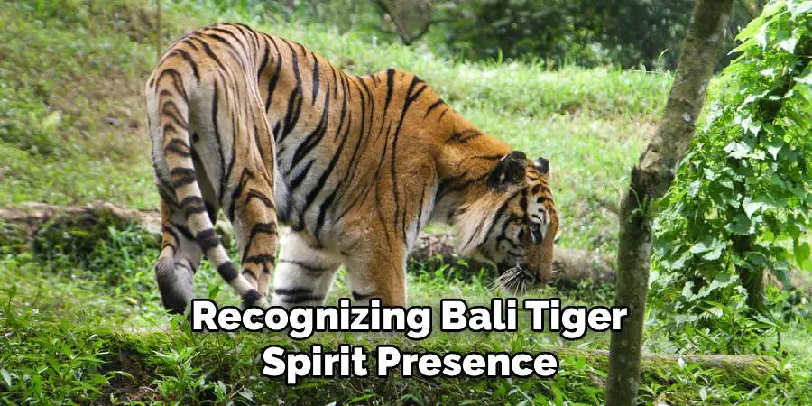 Recognizing Bali Tiger Spirit Presence
