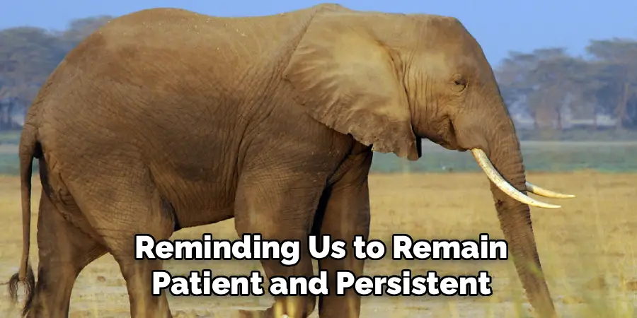 Reminding Us to Remain
Patient and Persistent