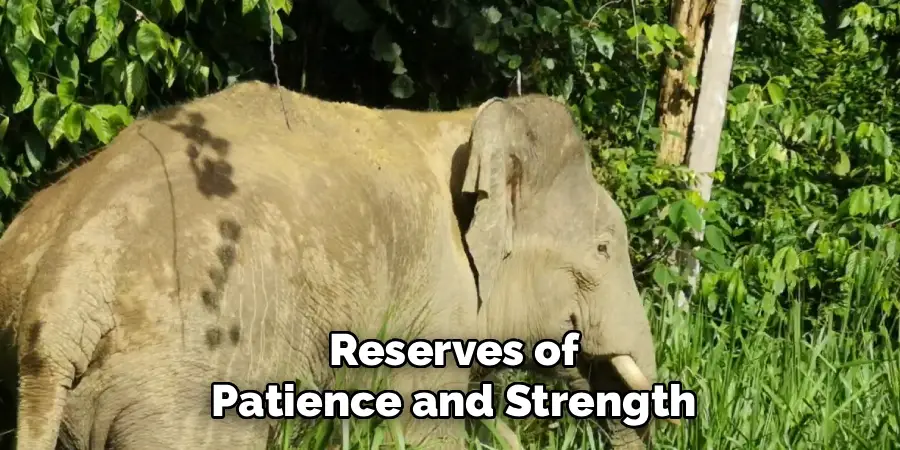 Reserves of
Patience and Strength