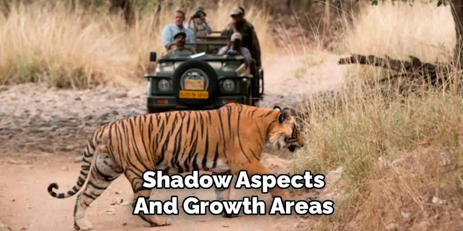 Shadow Aspects and Growth Areas