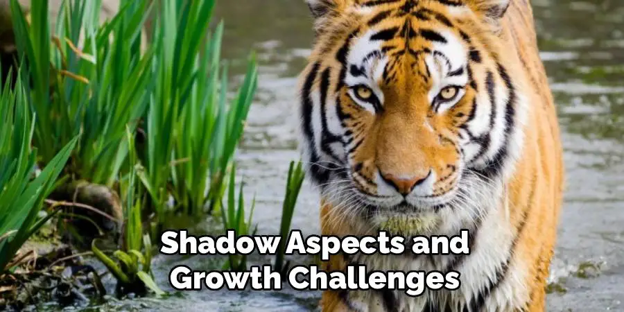 Shadow Aspects and Growth Challenges