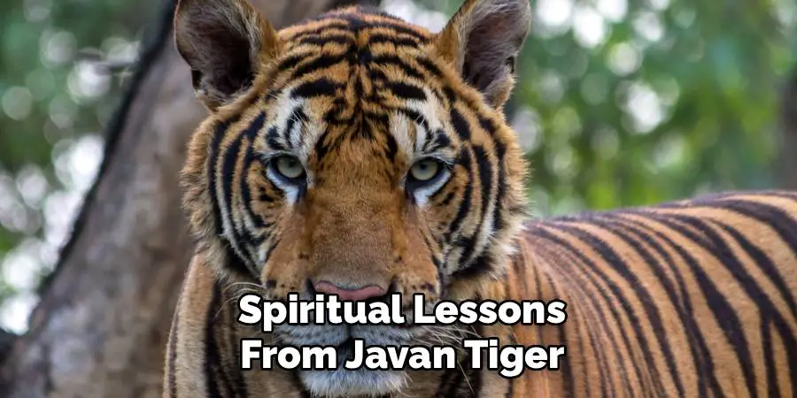 Spiritual Lessons from Javan Tiger
